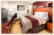 California Hotel Single Queen Room