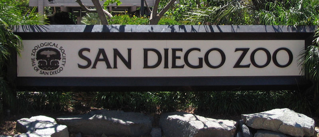 San Diego Zoo Package SureStay Hotel by Best Western San Diego